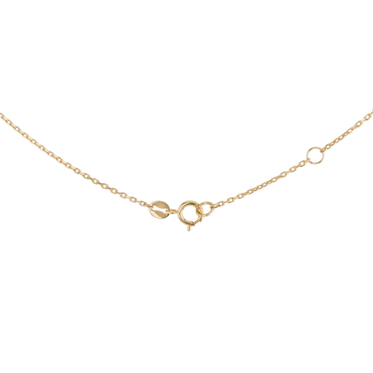 9ct Yellow Gold Paua Shell Clover Petal Necklace