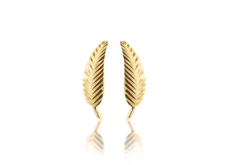 9ct Yellow Gold Fern Leaf Stud Earrings