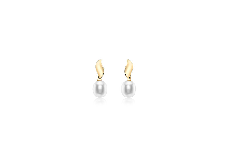 9ct Yellow Gold 6.5mm x 7.5mm Pearl and urved Ellipse Stud Earrings