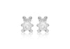 SILVER ES084 TEDDY Zirconia  EARRing